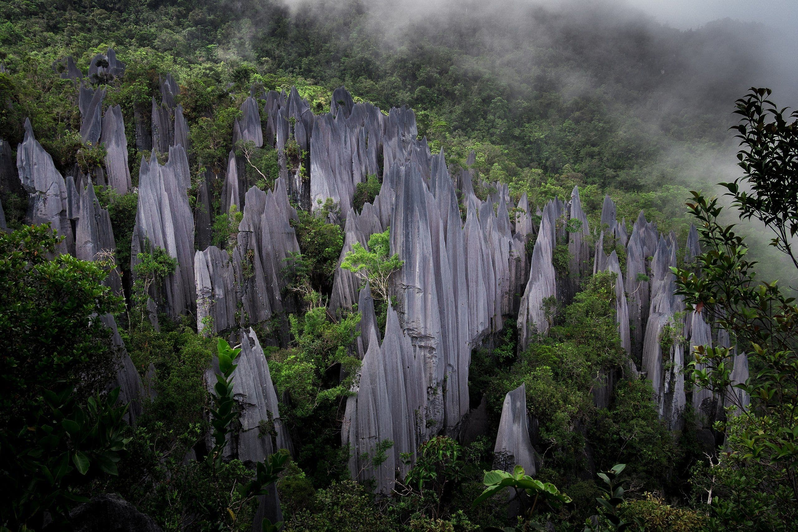 mulu limestone pinacles of mount api