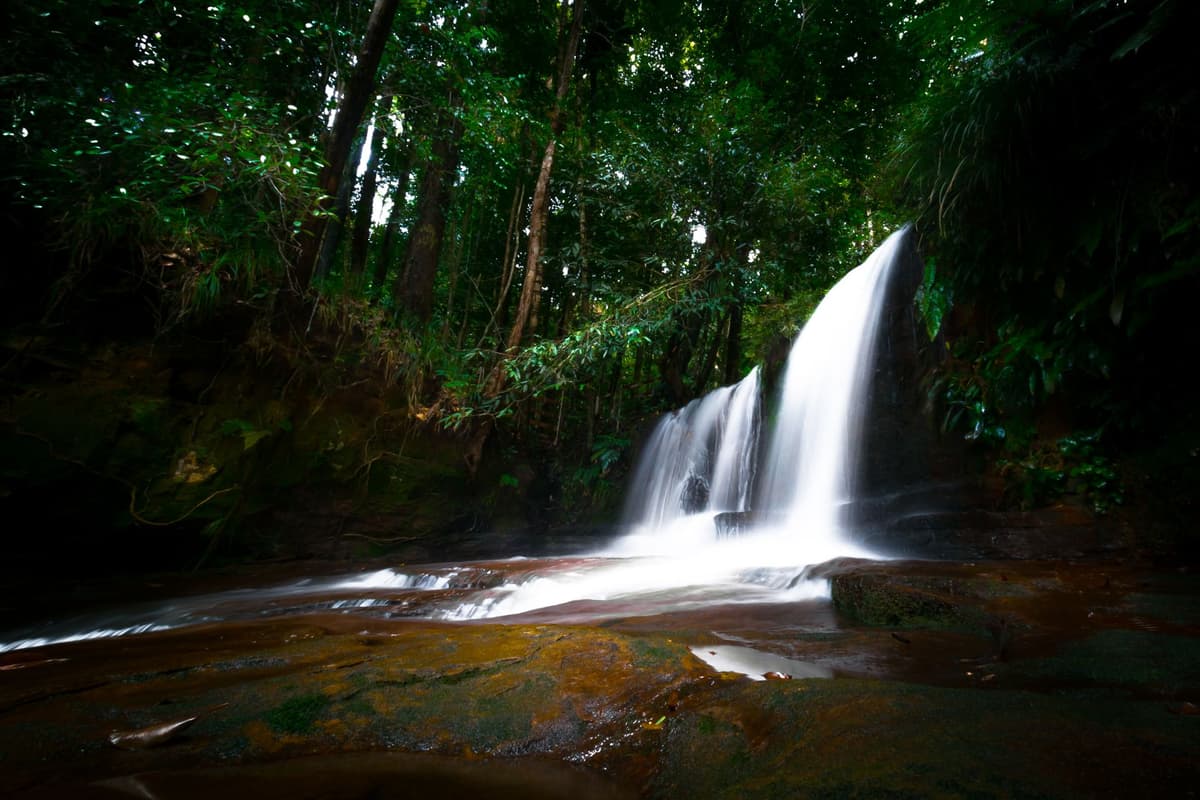 Lambir waterfalls image